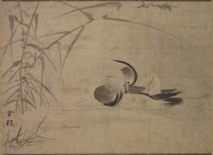 Mandarin Duck