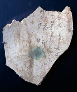 Pictogram on an ox scapula with a ritual to ward off danger