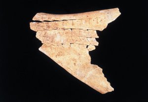Pictogram on an ox scapula with a ritual to ward off danger by Shang Dynasty Chinese School