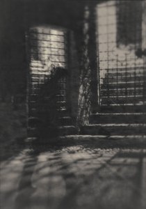 Mysterious Gated Stairs by Sheila Bernard