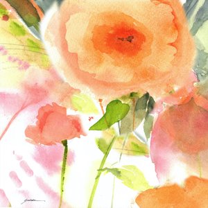 Soft Peach Blooms by Sheila Golden
