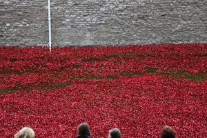 Blood Swept Lands and Seas of Red, Tower of London