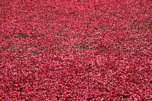 Blood Swept Lands and Seas of Red, Tower of London by Sheldon Marshall
