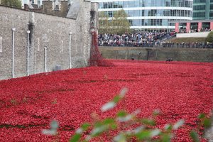Blood Swept Lands and Seas of Red, Tower of London