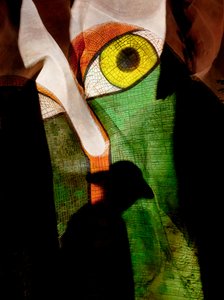 Mosaic Eye and Shadow by Shenshen Dou