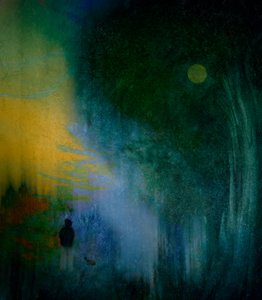 Solitary Moonlit Path by Shenshen Dou
