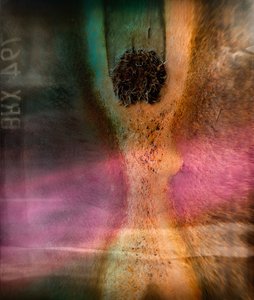 Vibrant Abstract Texture by Shenshen Dou