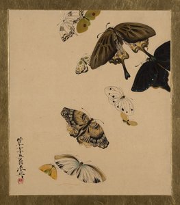 Lacquer Paintings of Various Subjects: Butterflies