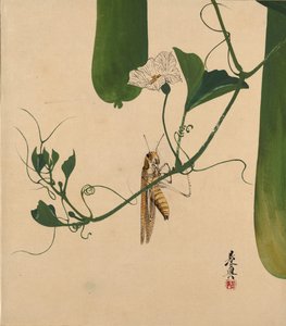 Lacquer Paintings of Various Subjects: Grasshopper on Gourd Vine