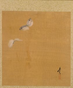 Moths from Album of Paintings by the Venerable Zeshin