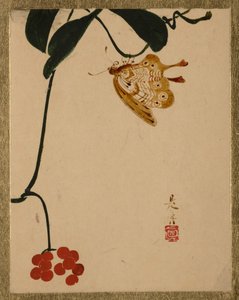 Red Berry Plant and Butterfly
