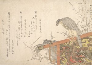 Hawk Tied to Perch by Shinsai