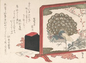 Screen and Lady