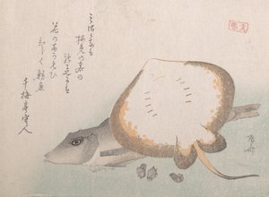 Stingray and Gurnard by Shinsai
