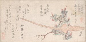 Young Pine Tree and Handle of a Plow, 19th century by Shinsai
