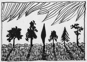 Trees by Shirley Markham