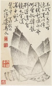 Bamboo Shoots, from an Album of Vegetables by Shou min Pien