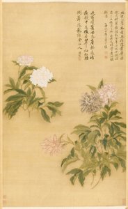 Peonies, Hanging Scroll by Shouping Yun