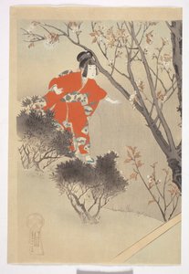 Three Blooming Cherry Trees, from the series 