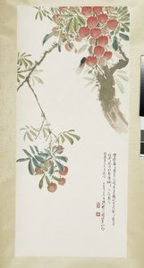 Lychees and cicada