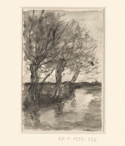 Trees Along a Ditch