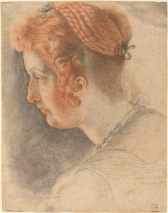 Head of a Woman in Profile