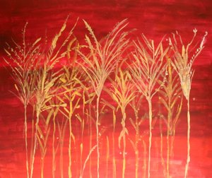 Grasses in the Sunset