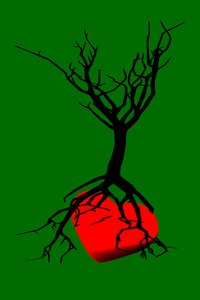 Heart of the Tree