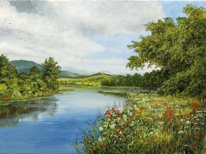 Quiet Scenery