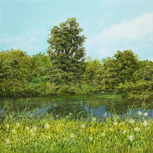 Shore Scene