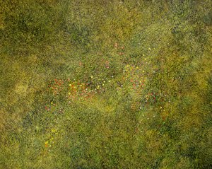 Meadow Flight