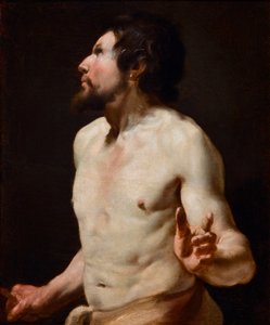 Study of Torso from the School of Simon Vouet by Simon (circle of) Vouet