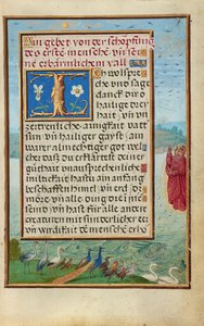 Border with the Creation of Birds and Fishes by Simon Bening