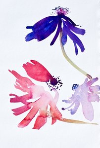 Anemones II, 2010