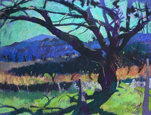 Cherry Tree Shadow, 2000 by Simon Fletcher