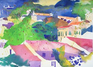 The Grapes of Faugeres, 2003 France