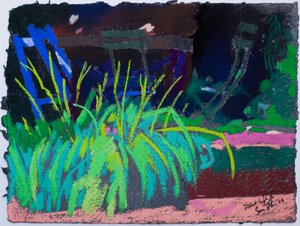 Plant Life