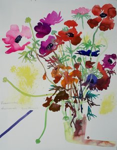 Ranunculus & Anemones, 2010