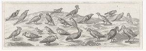 Landscape with Various Birds by Simon Frisius