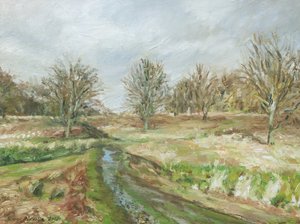 Richmond Park
