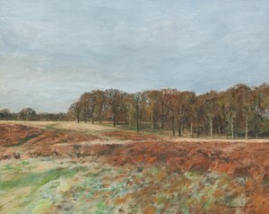 Richmond Park by Simon Neville