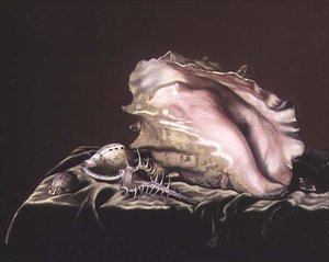 Still Life of Shells