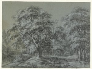 Forest Landscape with Water by Simon de Vlieger