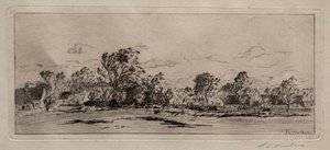 Windy Morning - Schleissheim