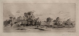 Windy Morning - Schleissheim