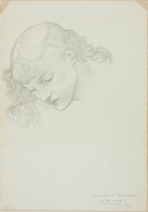 Head, Study for Mirror of Venus by Sir Edward Burne Jones