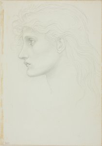 Head of Girl Facing Left by Sir Edward Burne Jones