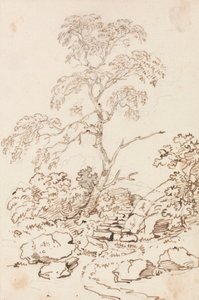 Tree by Steps by Sir George Howland Beaumont seventh Baronet