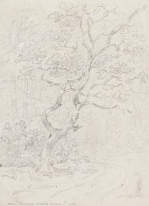Trees, Near Lausanne by Sir George Howland Beaumont seventh Baronet