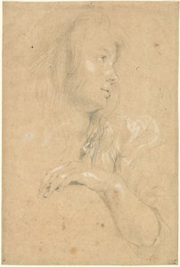 Young Woman in Profile by Sir Peter Paul Rubens